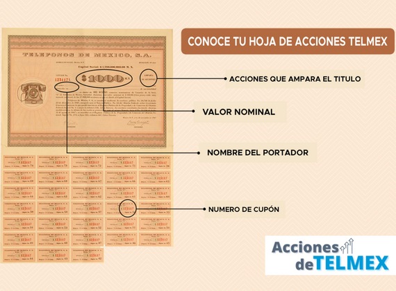 Cómo reconocer acciones de Telmex viejas